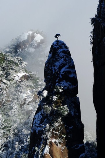 獨立於山巒之巅
