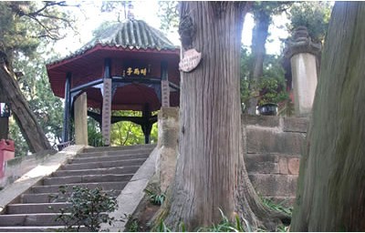 綿陽七曲山