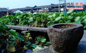 第一狀元村走馬塘