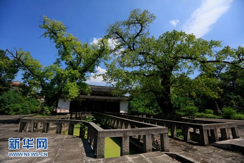 800歲古寺四川華蓥褒先寺古韻濃郁