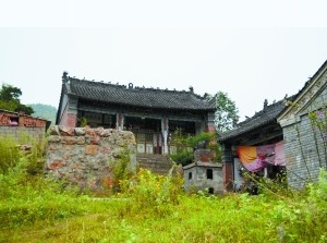 綠葉黃花之上的開元寺