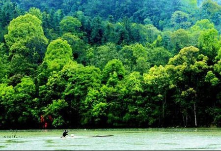 全景