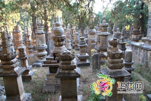 靈巖寺裡的墓塔林