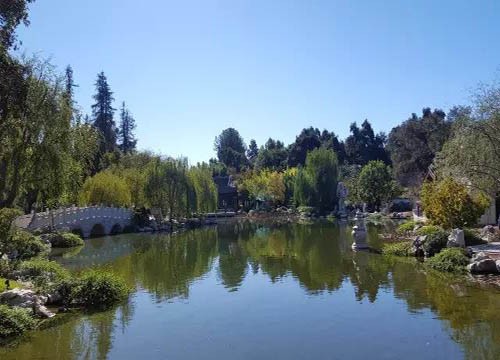 石曲橋對岸的景觀
