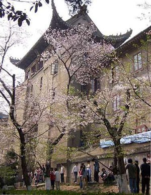 九大賞花休閒勝地