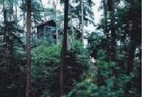 歌樂山國家森林公園 