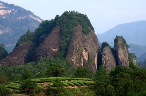 五一武夷山心情釋放之旅