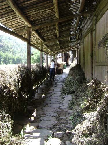 曾經輝煌的古街道如今已經荒廢