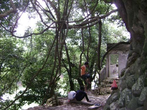 小男孩正怡然自樂地坐在“秋千”上玩耍著