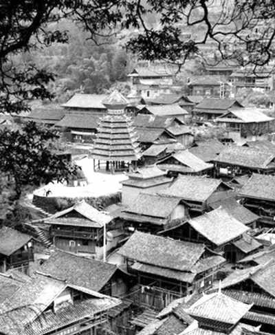 貴州古楠木“擁抱”的侗寨
