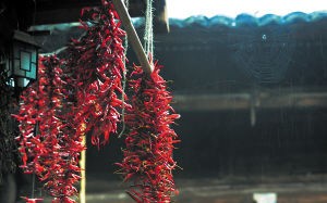 屋檐下的紅辣椒、蜘蛛網……古城黔陽濃縮著2000多年的光和影