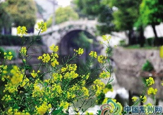 焦溪古鎮
