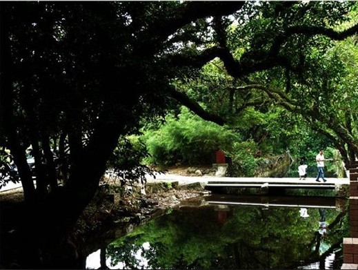 小河邊，古樹板橋人家