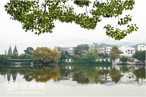 風景秀美的慈湖