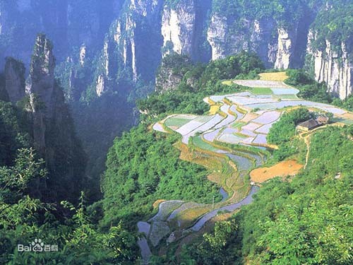 天子山