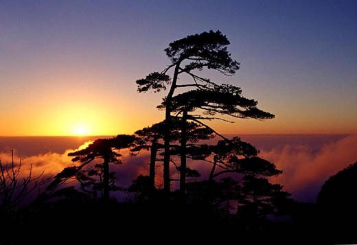 人文江西之三清山
