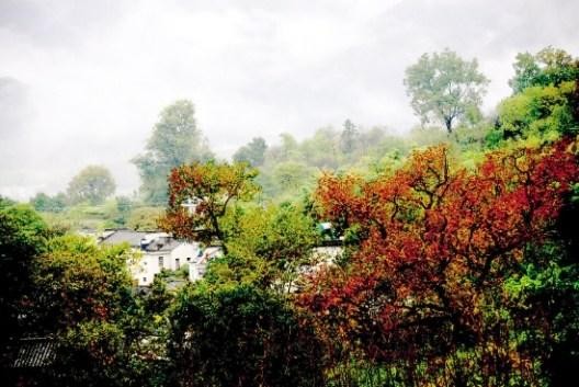 安徽皖南黃山滿山紅遍的塔川秋色