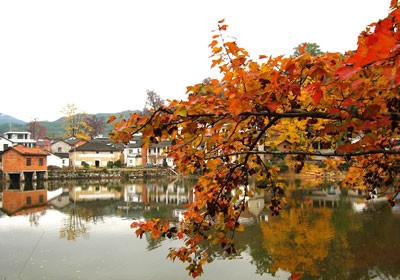 【臨安·指南村】