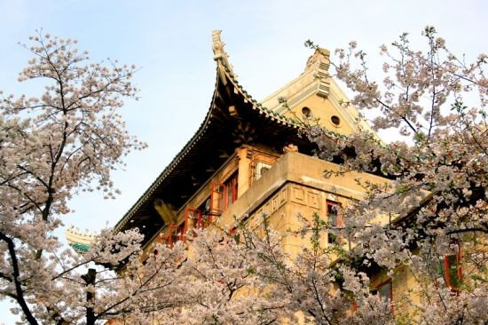 郊游踏青