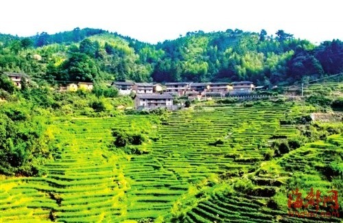 桂峰村層層疊疊的梯田，猶如天梯直上雲端
