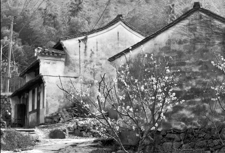 慈溪河頭村