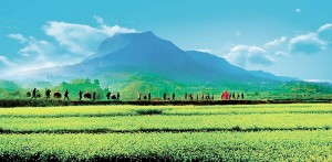 杭州新葉古村