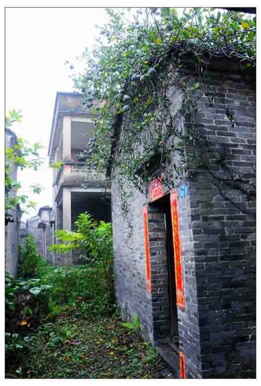 嶺南古村落——高要坑尾村
