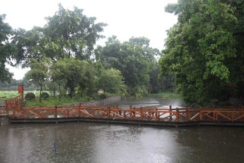 台風後，陣雨不斷造訪朗頭村，給到訪這古村落的游人平添上了幾許思古之幽情