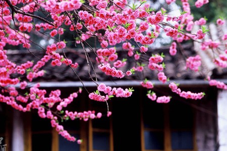 和順古鎮
