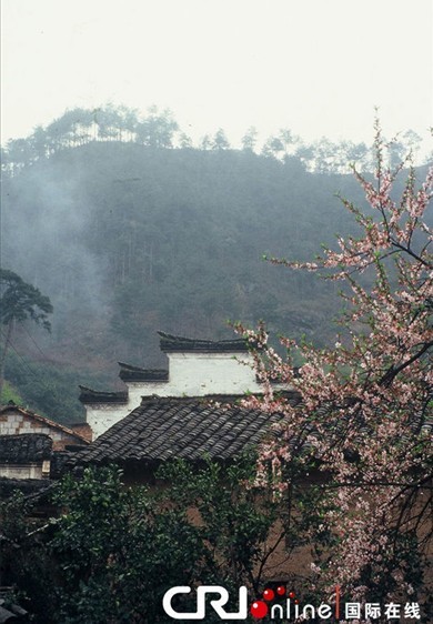 山水環繞的洞主廟