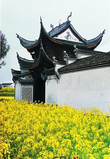 建德新葉村