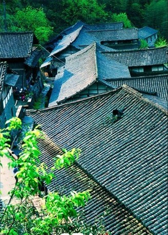 黑瓦村宅