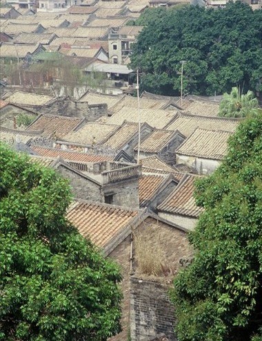 鳥瞰南社村