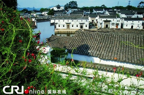 諸葛村住宅區