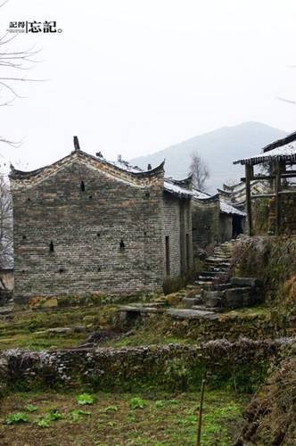 挺立的建築