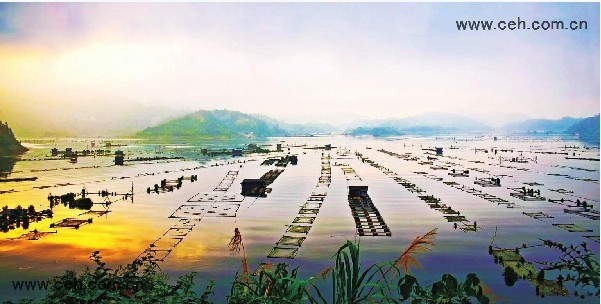 五溪湖漁業生產