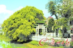 赤坎影視城