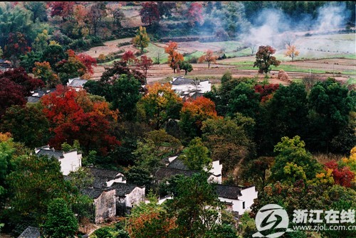 塔川秋色