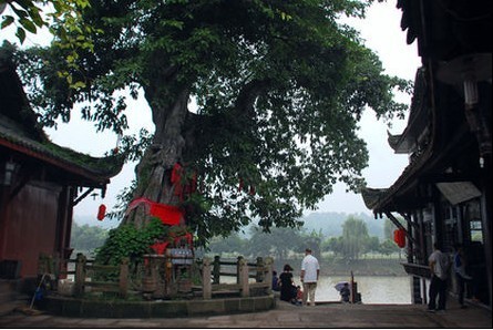 黃龍溪古鎮