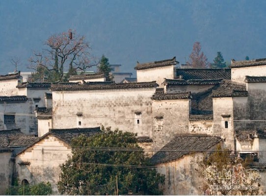 關麓八大家