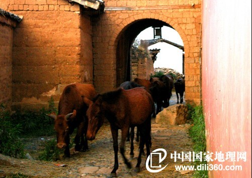 寺登街