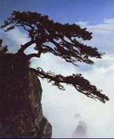 江西廬山風景名勝區
