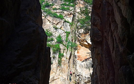 天津八仙山