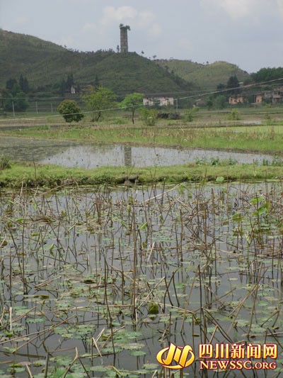 東龍村