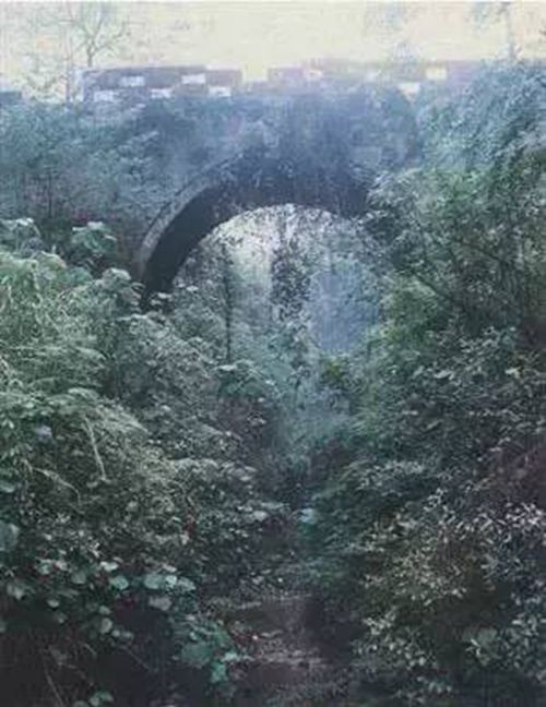 無伐橋