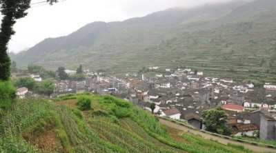 大萊村全景
