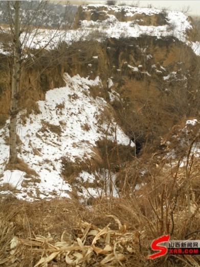 被積雪、雜草覆蓋的“萬人坑”