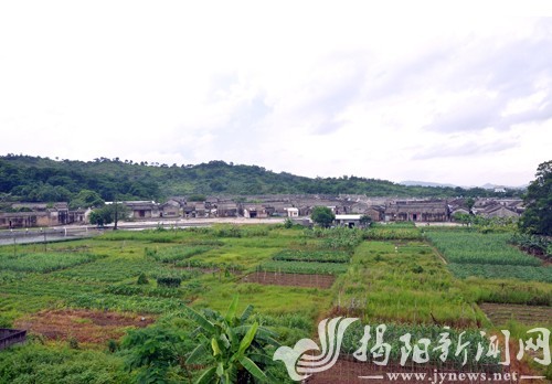 竹林村背靠青山，景色優美