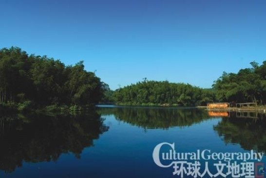 美麗的竹海