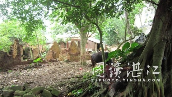 村中景象